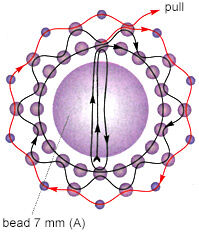 Diagram of beading pattern